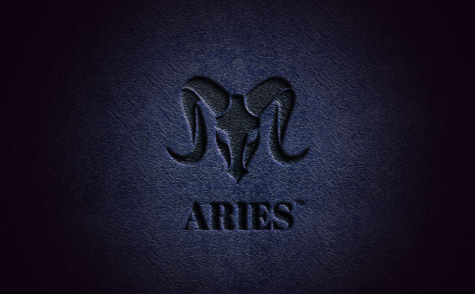ARIES Lion Edition Men's Wallet (Blue)