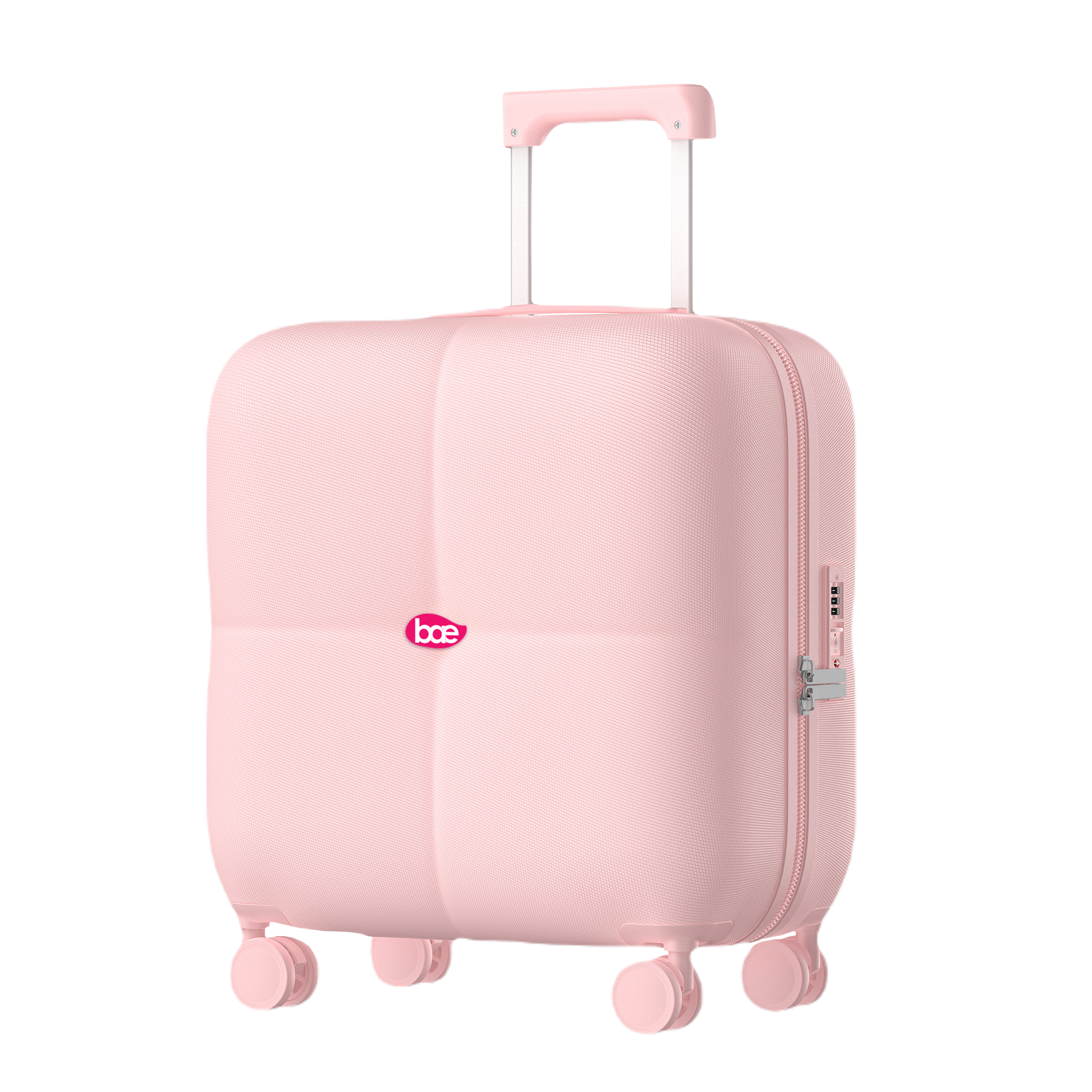 TROLLEY BAGS